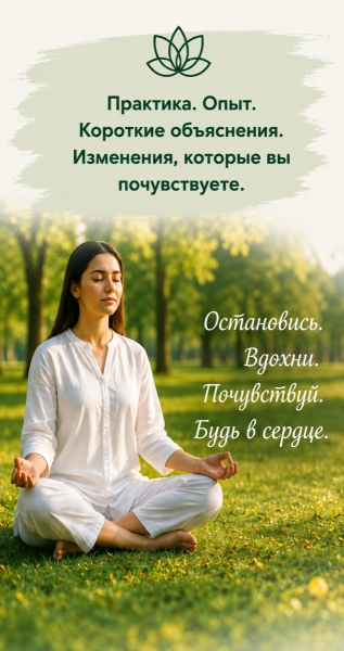 Heartfulness на Фестивале Йоги